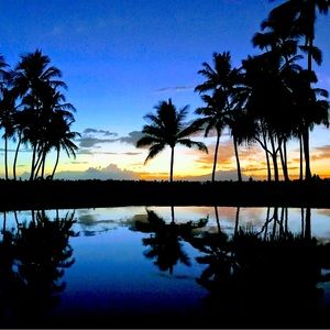 Meet your Posher, Julia.